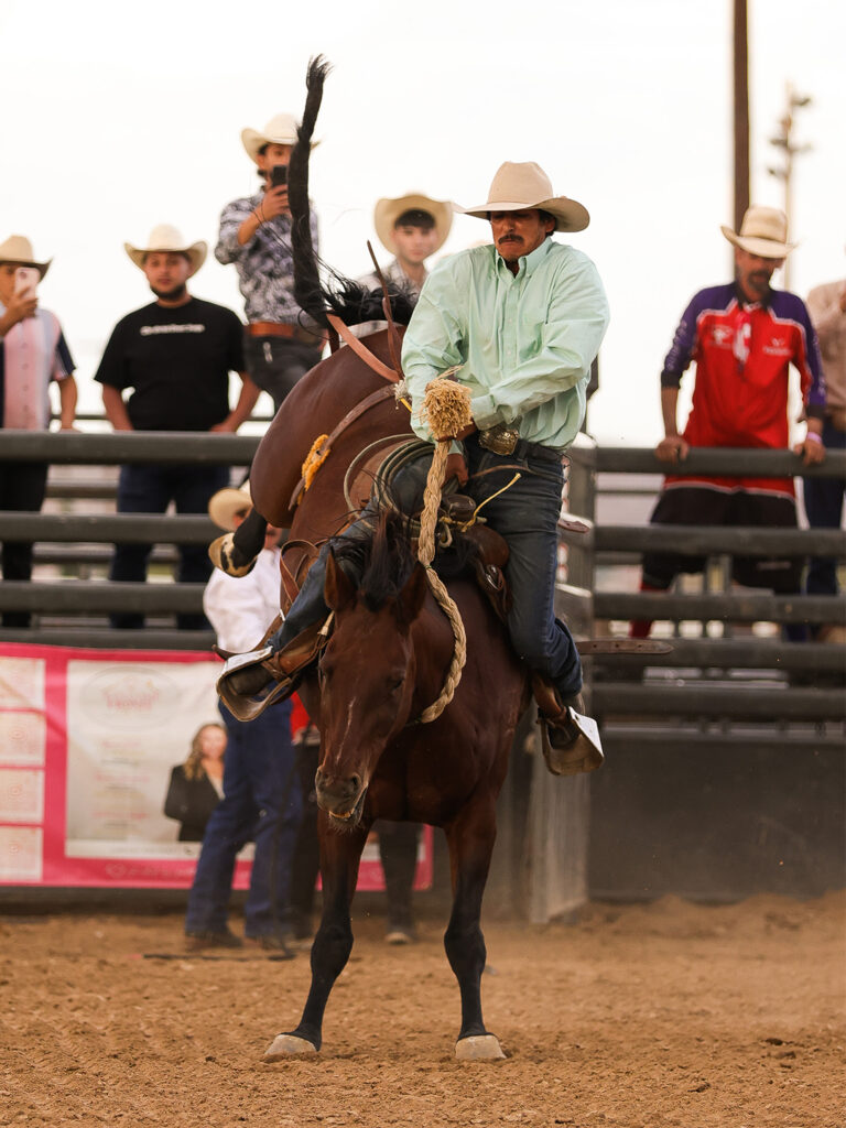 hdrodeo-sept2026_0008_260920_HDRodeo_DingersPhoto-71